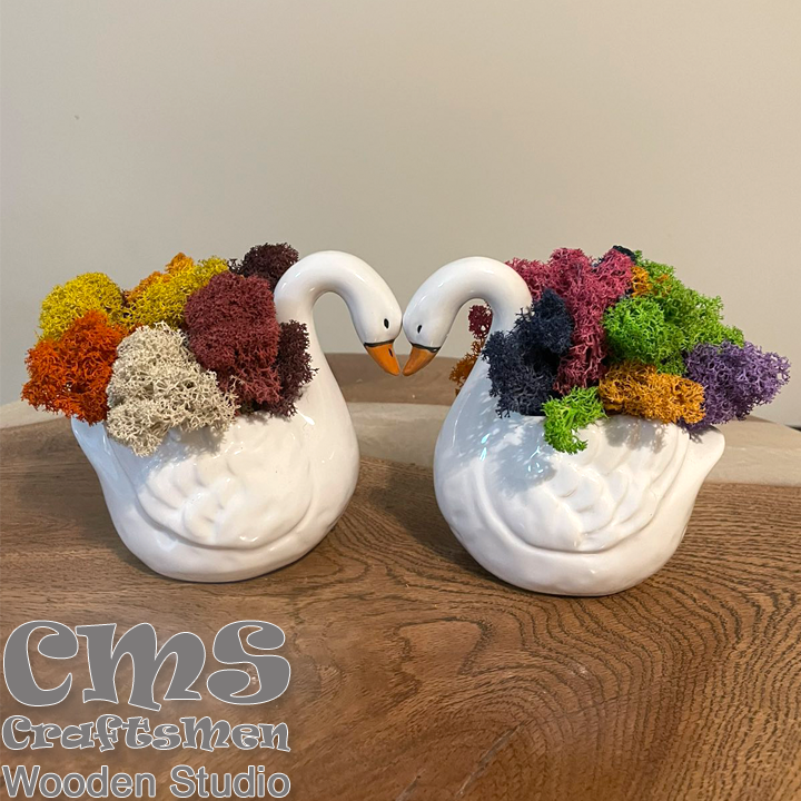 Crafts Men Studio   -     "Colorful"-2